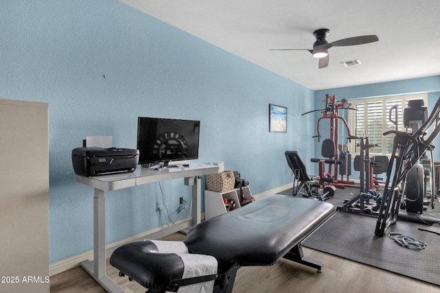15011 N 45th Pl, Phoenix, AZ 85032 - workout area featuring ceiling fan and light hardwood / wood-style flooring