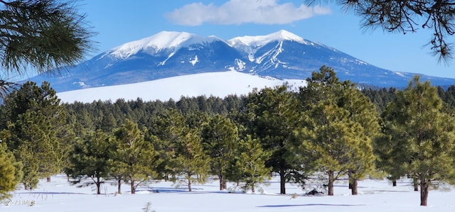 12814 E Dream Acres Ln, Parks, AZ 86018 - view of mountain background featuring a forest