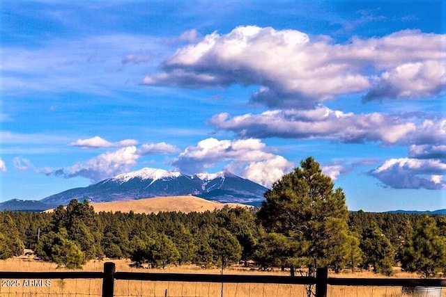 12814 E Dream Acres Ln, Parks, AZ 86018 - view of mountain background with a heavily wooded area