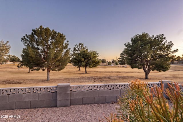 view of yard at dusk