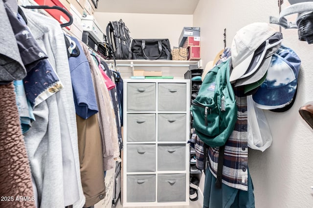 view of walk in closet