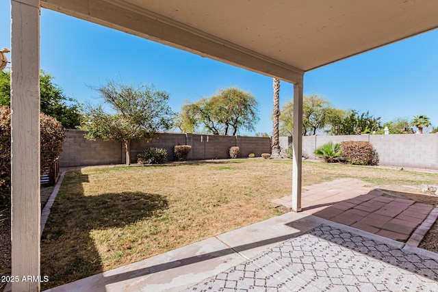 view of yard featuring a patio and a fenced backyard