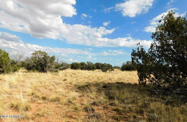 1306 Serendipity Dr Unit 613, Heber, AZ 85928