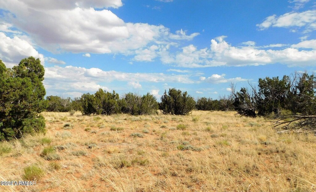 1306 Serendipity Dr Unit 613, Heber, AZ 85928