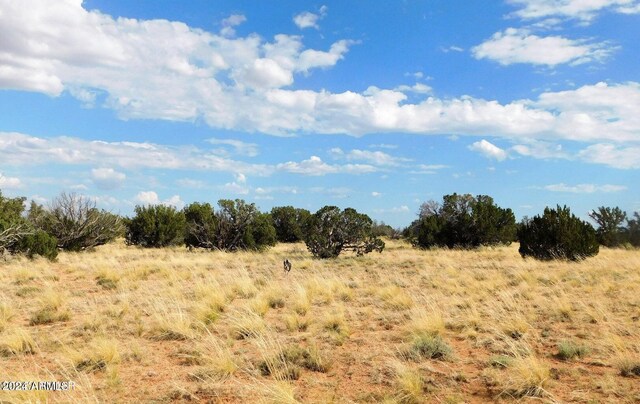 1306 Serendipity Dr Unit 613, Heber, AZ 85928