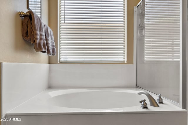 bathroom featuring a bathing tub and a wealth of natural light