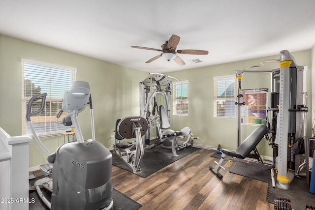 291 N Scott Dr, Chandler, AZ 85225 - exercise area featuring plenty of natural light, visible vents, ceiling fan, and wood finished floors
