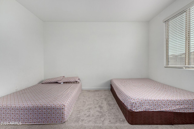 bedroom featuring carpet