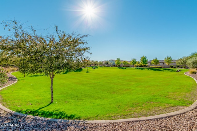 view of community featuring a lawn