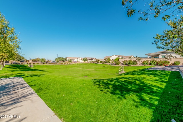 view of community featuring a yard