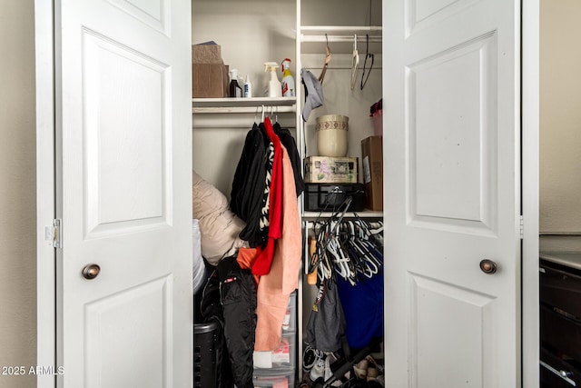 view of closet