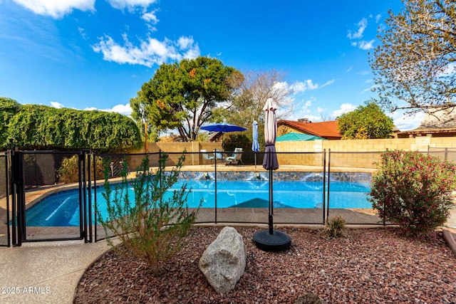 view of swimming pool