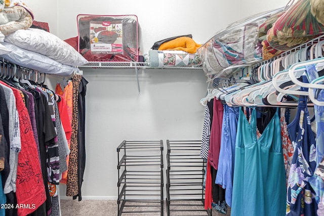 walk in closet with carpet flooring