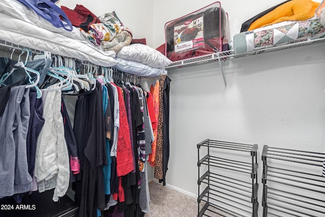 walk in closet with carpet floors