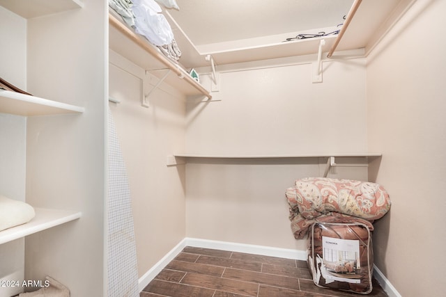 spacious closet featuring dark wood-type flooring