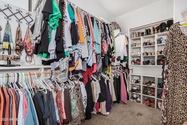 walk in closet with carpet flooring