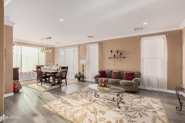 living room with crown molding and wood-type flooring