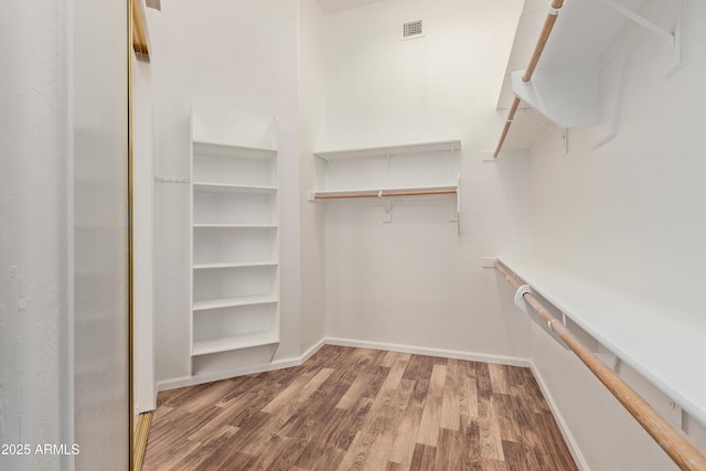 spacious closet featuring wood-type flooring