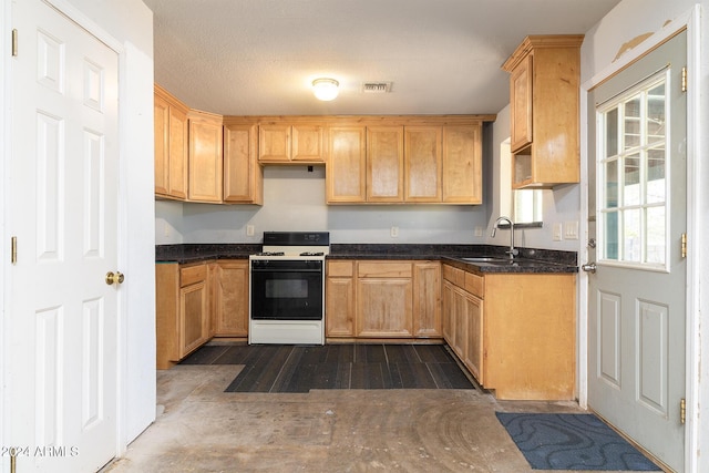 214 S Hing Dr, Superior, AZ 85173 - kitchen featuring a textured ceiling, plenty of natural light, white stove, and sink