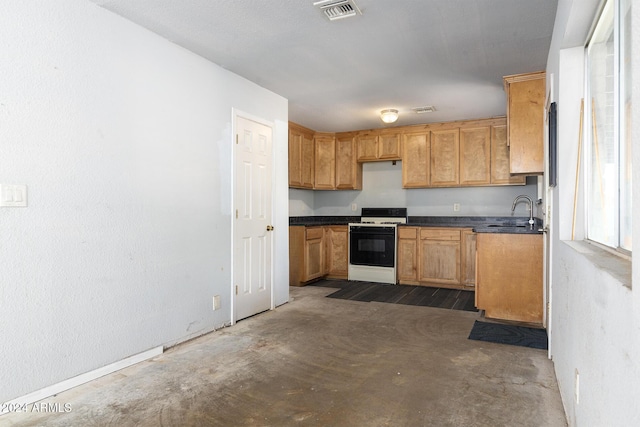 214 S Hing Dr, Superior, AZ 85173 - kitchen with white range oven and sink