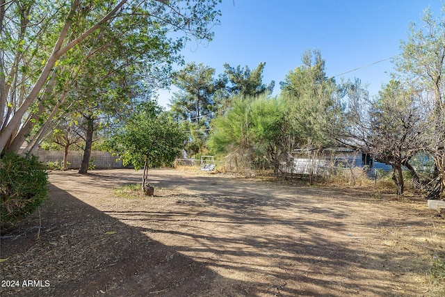 214 S Hing Dr, Superior, AZ 85173 - view of yard