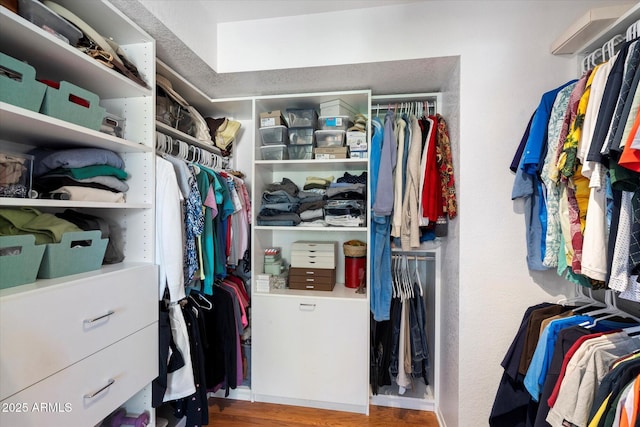 walk in closet featuring wood finished floors