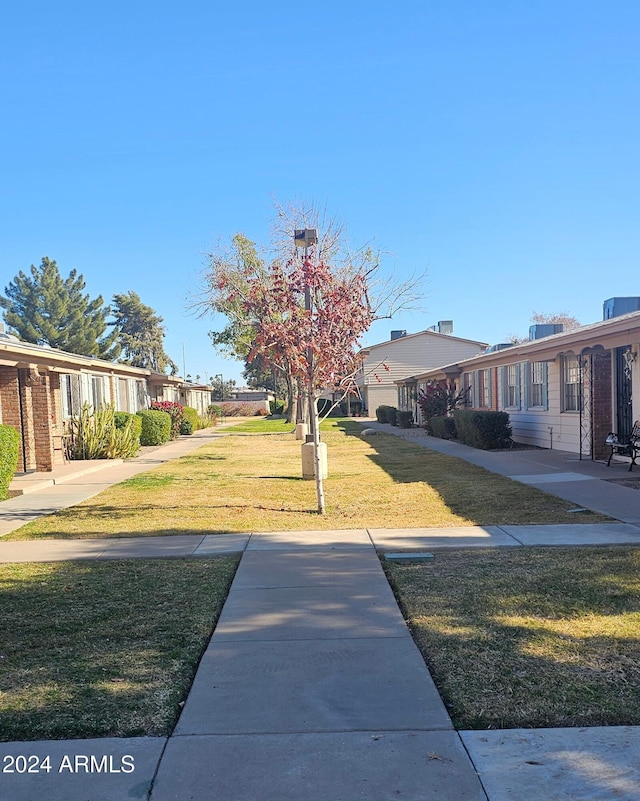 view of yard