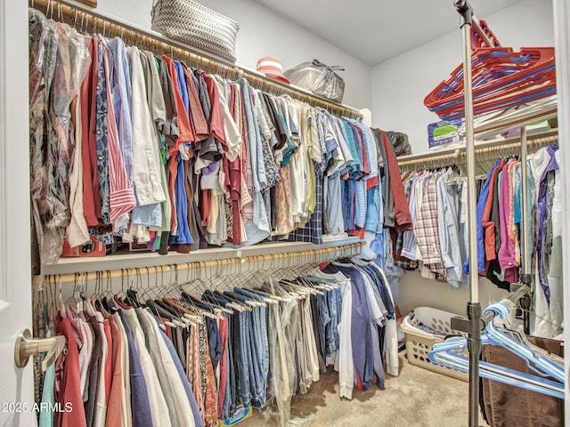 walk in closet featuring carpet