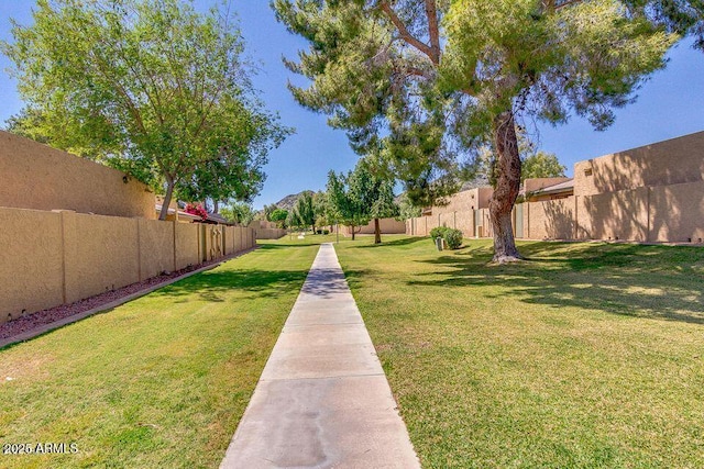 1120 E Beryl Ave, Phoenix, AZ 85020 - view of yard