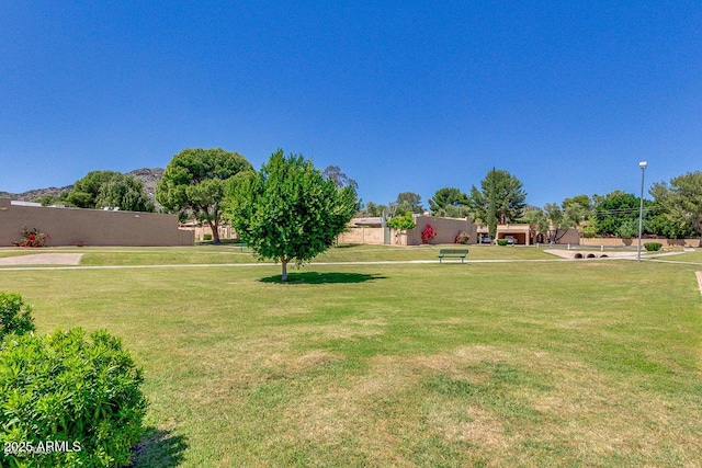 1120 E Beryl Ave, Phoenix, AZ 85020 - view of green lawn