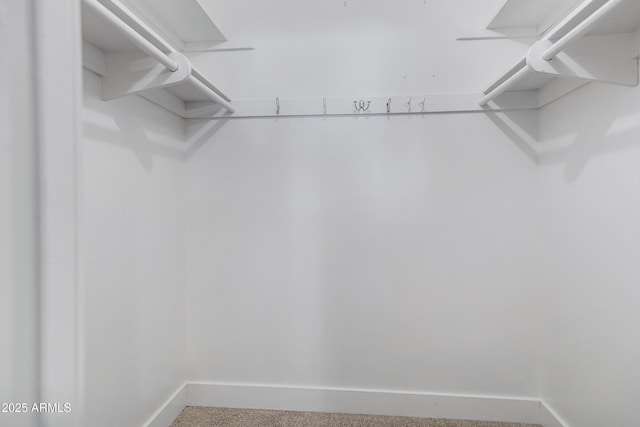 spacious closet with carpet flooring