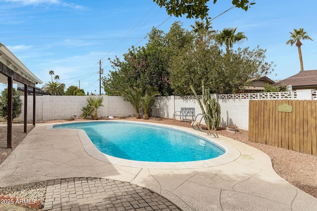 view of pool featuring a fenced backyard, a fenced in pool, and a patio