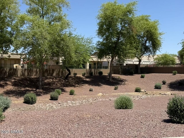12417 W Apache St, Avondale, AZ 85323 - view of yard