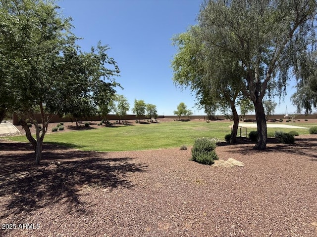 12417 W Apache St, Avondale, AZ 85323 - view of grassy yard