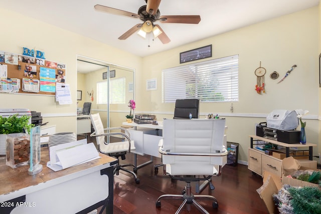 office area featuring ceiling fan and dark hardwood / wood-style floors