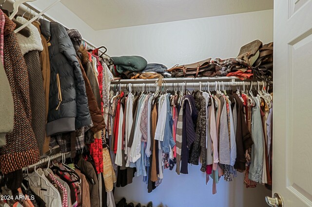 view of walk in closet