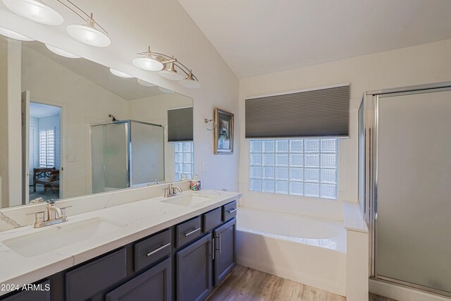 bathroom with wood-type flooring, a wealth of natural light, and lofted ceiling