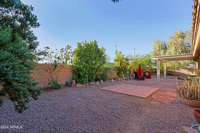 view of yard featuring a patio area