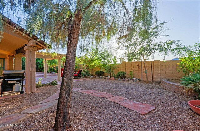 view of yard featuring a patio area and a pergola