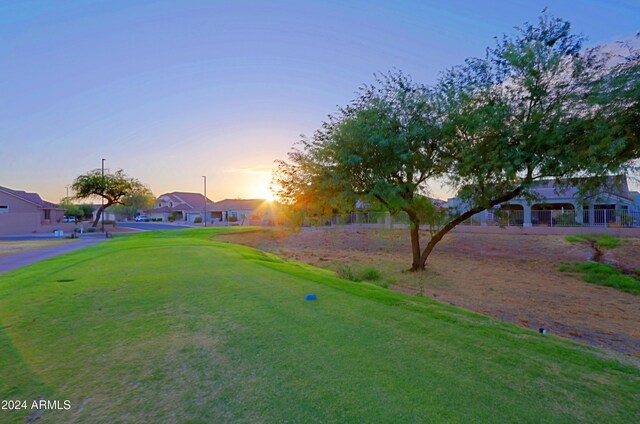 view of yard at dusk