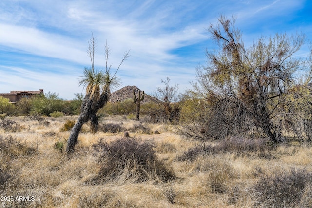 8395 E Leaning Rock Rd Unit 187, Scottsdale, AZ 85266 - view of landscape with a mountain view