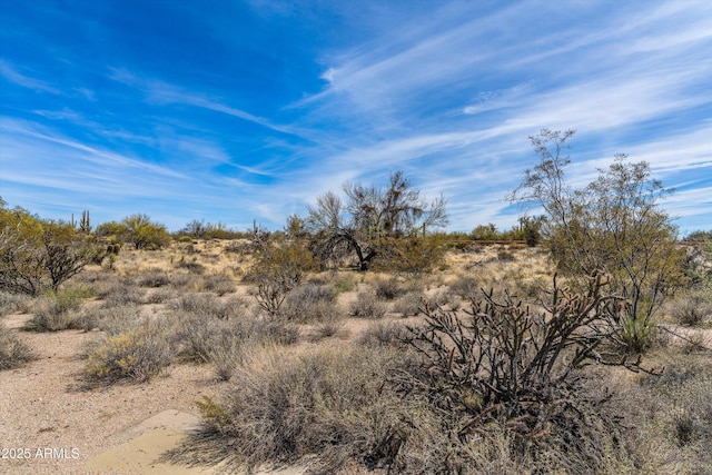 8395 E Leaning Rock Rd Unit 187, Scottsdale, AZ 85266 - view of local wilderness