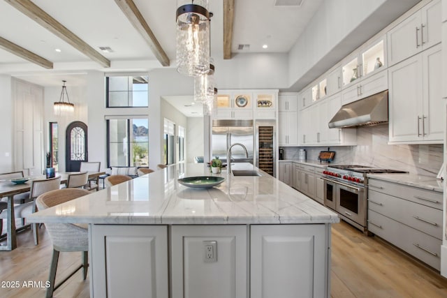 kitchen featuring high quality appliances, under cabinet range hood, a sink, white cabinets, and decorative backsplash