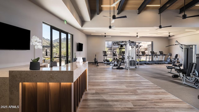 workout area with wood finished floors, a high ceiling, and a ceiling fan