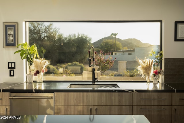 room details featuring a mountain view, dishwasher, and sink