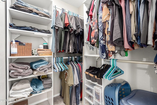 1634 E Harwell Rd, Phoenix, AZ 85042 - walk in closet with carpet flooring