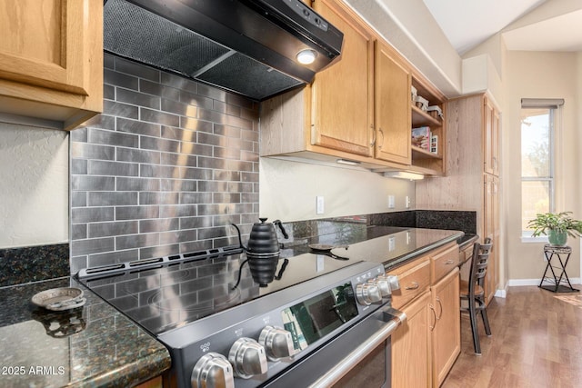5215 W Del Rio St, Chandler, AZ 85226 - kitchen featuring stainless steel electric stove, light wood-type flooring, dark stone countertops, under cabinet range hood, and baseboards