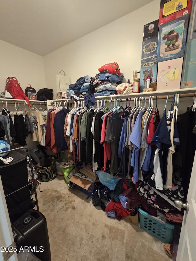 spacious closet featuring carpet flooring