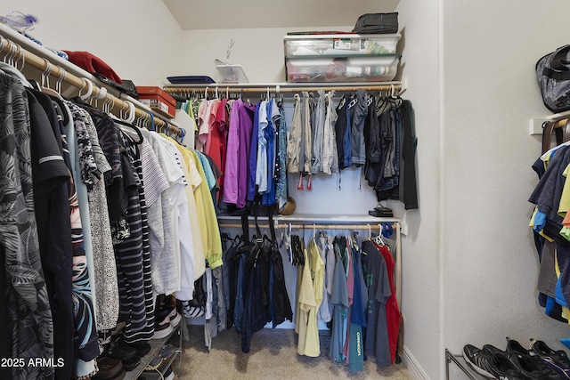 walk in closet featuring carpet flooring