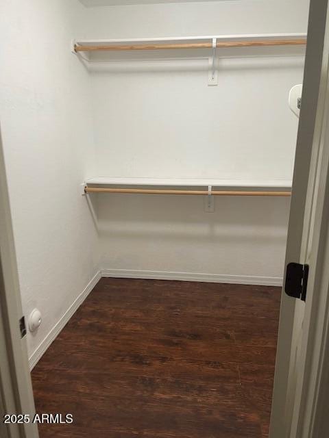 spacious closet featuring dark hardwood / wood-style flooring